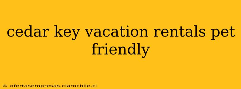 cedar key vacation rentals pet friendly