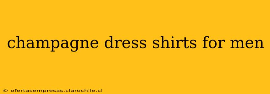champagne dress shirts for men