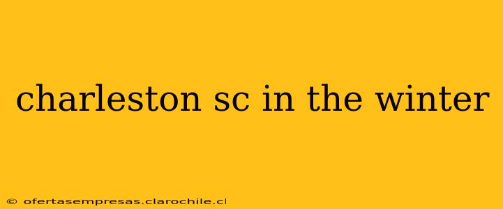 charleston sc in the winter