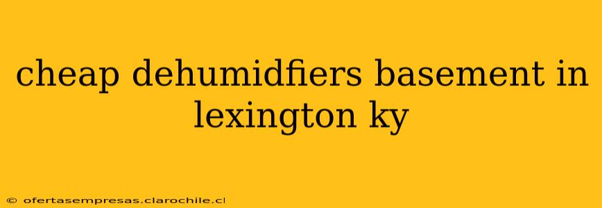 cheap dehumidfiers basement in lexington ky