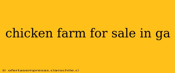 chicken farm for sale in ga