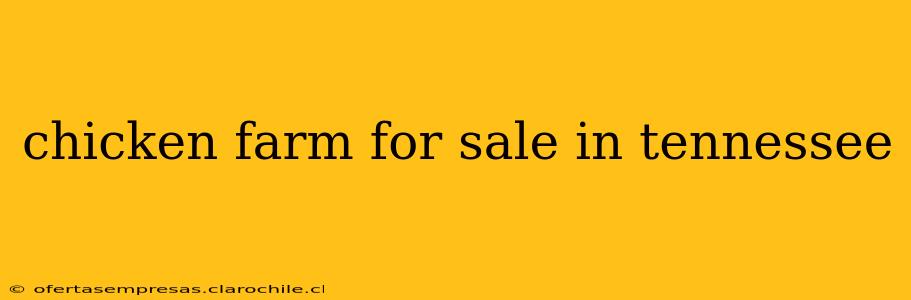 chicken farm for sale in tennessee