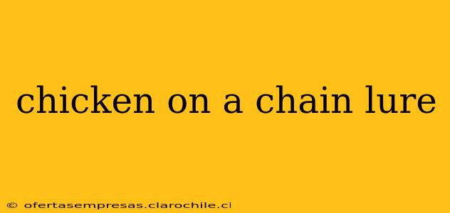 chicken on a chain lure