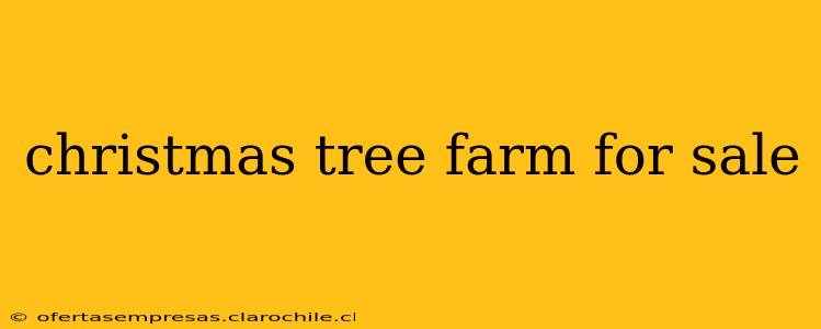 christmas tree farm for sale