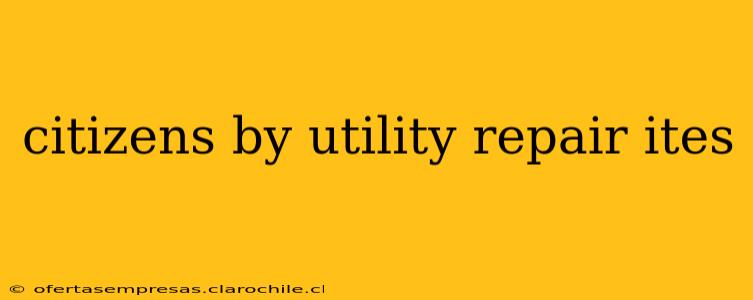 citizens by utility repair ites
