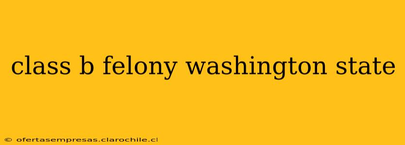 class b felony washington state