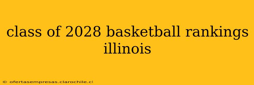 class of 2028 basketball rankings illinois