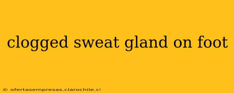 clogged sweat gland on foot