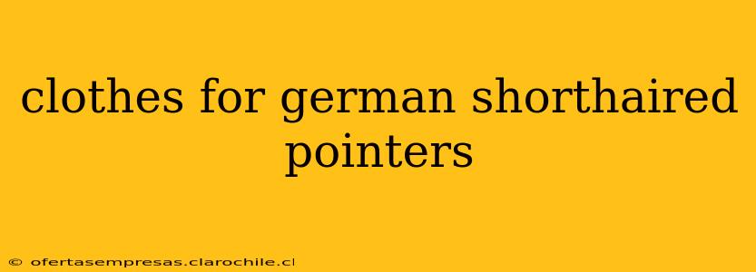 clothes for german shorthaired pointers