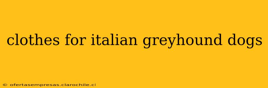 clothes for italian greyhound dogs
