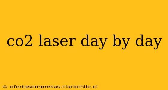 co2 laser day by day