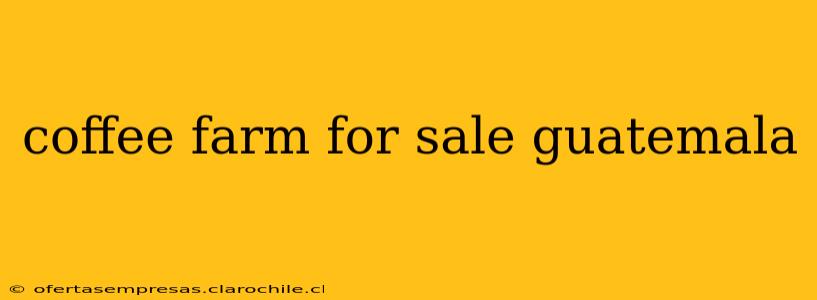coffee farm for sale guatemala