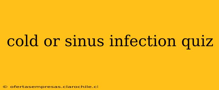 cold or sinus infection quiz