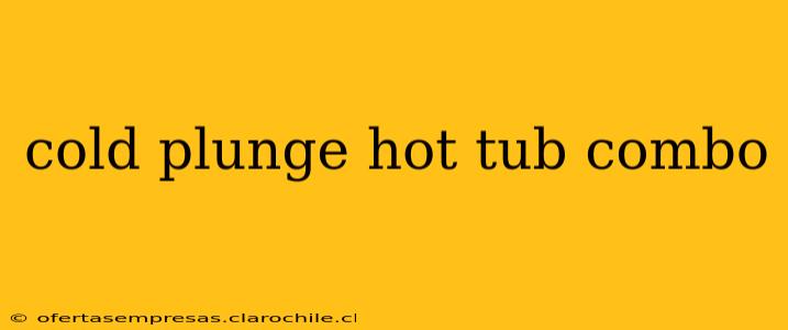 cold plunge hot tub combo