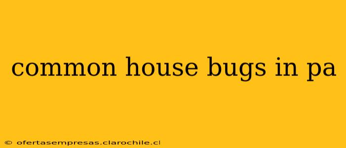 common house bugs in pa