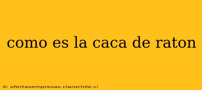 como es la caca de raton
