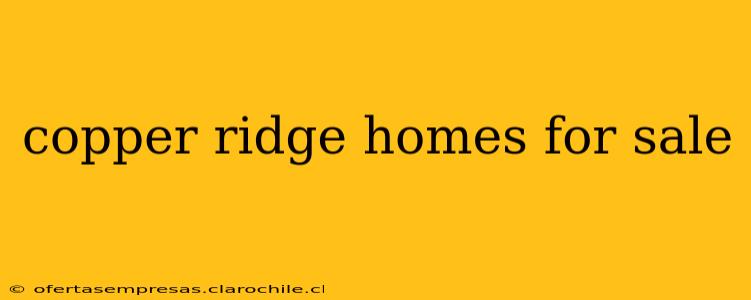 copper ridge homes for sale