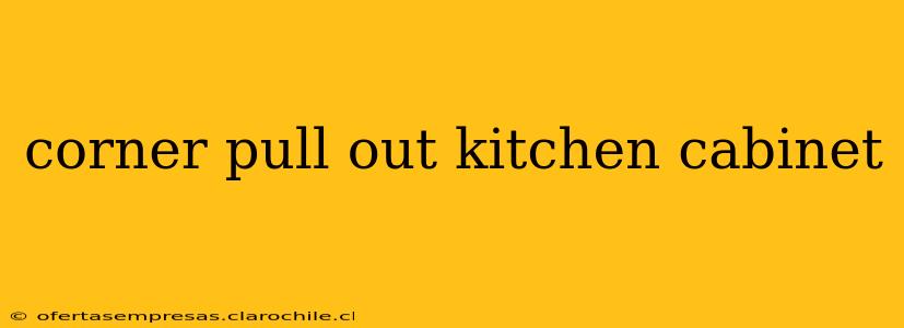 corner pull out kitchen cabinet