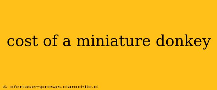 cost of a miniature donkey