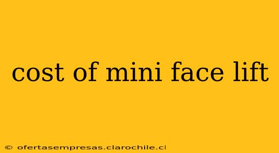 cost of mini face lift