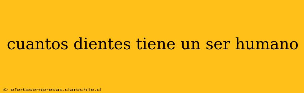 cuantos dientes tiene un ser humano