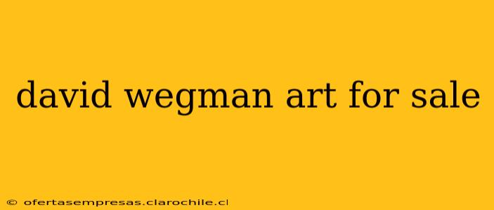 david wegman art for sale