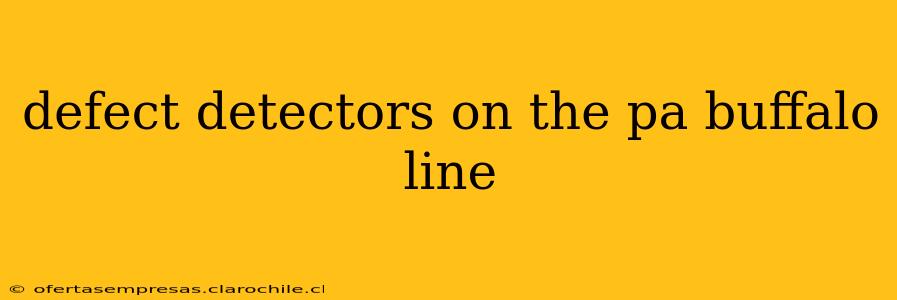 defect detectors on the pa buffalo line