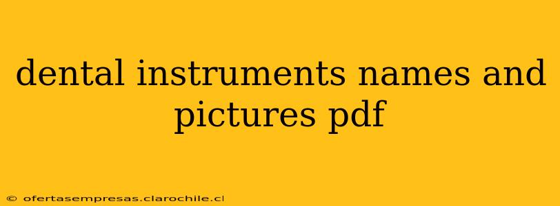 dental instruments names and pictures pdf