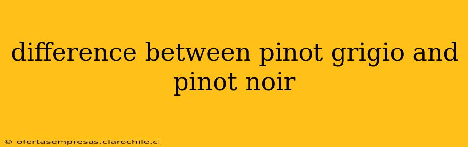 difference between pinot grigio and pinot noir