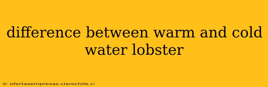 difference between warm and cold water lobster