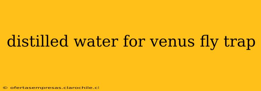 distilled water for venus fly trap