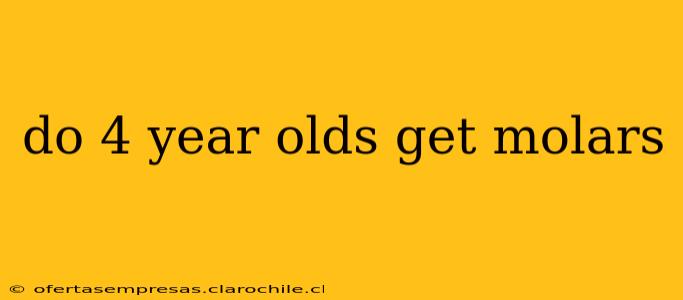 do 4 year olds get molars