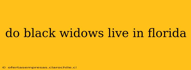 do black widows live in florida