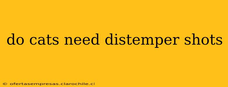 do cats need distemper shots