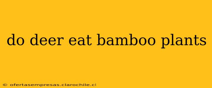 do deer eat bamboo plants