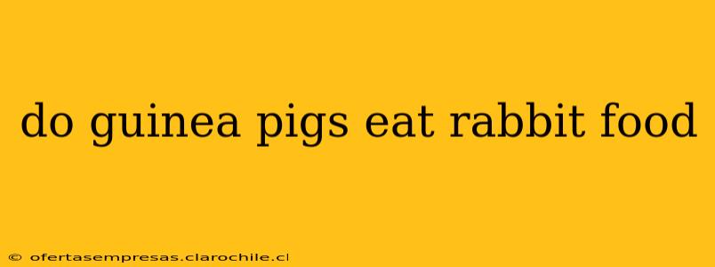 do guinea pigs eat rabbit food