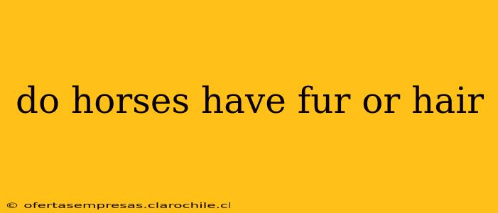 do horses have fur or hair