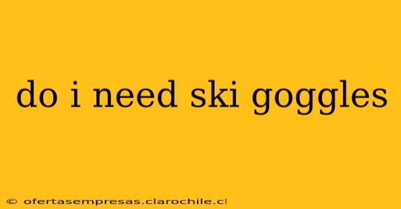 do i need ski goggles