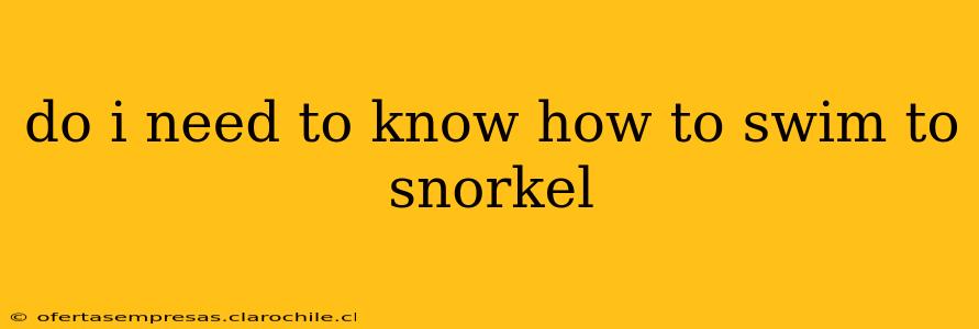 do i need to know how to swim to snorkel