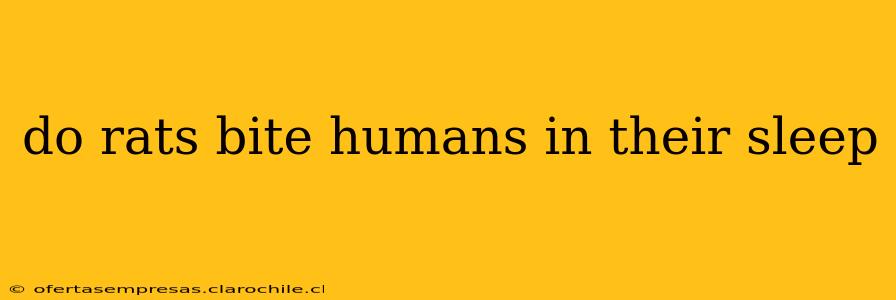 do rats bite humans in their sleep