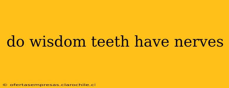 do wisdom teeth have nerves