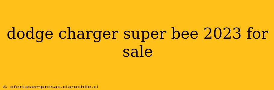 dodge charger super bee 2023 for sale