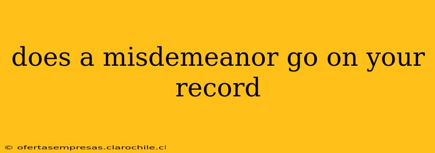 does a misdemeanor go on your record