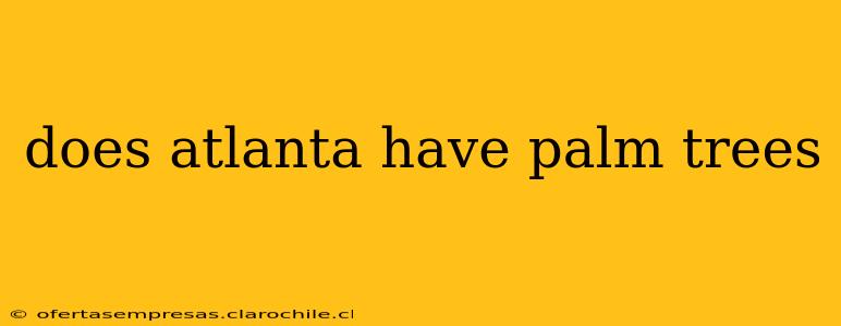 does atlanta have palm trees