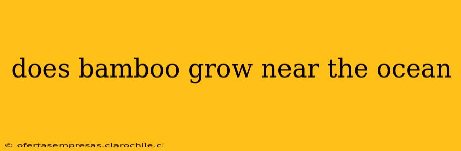 does bamboo grow near the ocean