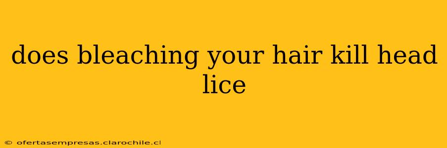 does bleaching your hair kill head lice