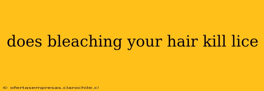 does bleaching your hair kill lice