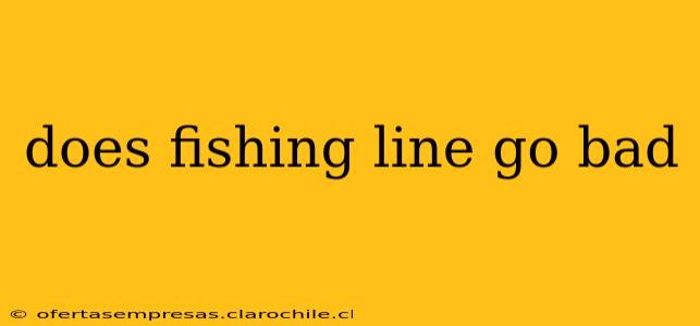 does fishing line go bad