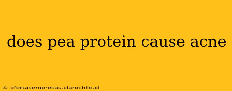 does pea protein cause acne