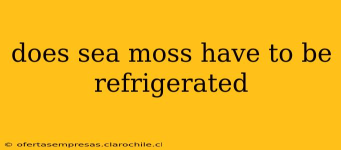 does sea moss have to be refrigerated
